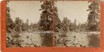 View up the Valley from the foot of the Coulterville Trail. Yosemite Valley, Mariposa County, Cal., 3001