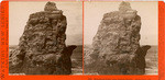 Monument Point, near Natural Bridge. Santa Cruz, Cal., 5054