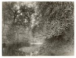 Irrigating canal, Cone Ranch, near Red Bluff, 1885