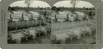 Irrigation 2. Close view of diversion gates distributing irrigation water from Colorado River to the Imperial Valley. El Centro, Calif., 168