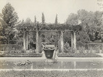 Schiffman pergola (2 views)