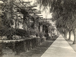 Pasadena, Maryland pergola (2 views)