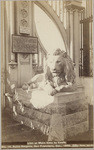 Lion at Main Gate by Geefs. Sutro Heights, San Francisco, Cal., 1886, no. 14