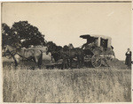 [Stagecoach with oak tree in distance]