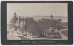 Birds eye view of Hotel Del Coronado and Point Loma. # 516.