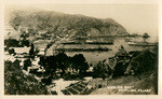 "Avalon Bay," Catalina, Island