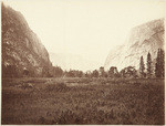 [Yosemite Valley meadow], no. 71