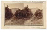 Front view of Cajon Mountains. 208 (front); Cajon Valley, Cajon Mountain in distance. 182 (back)