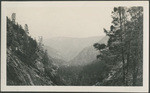 [Hetch Hetchy Valley]