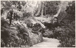 Fern Dell, Hollywood, Cal., 145