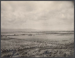 Bird's-eye view of the beautiful Santa Clara Valley, California