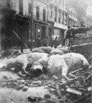 [Horses killed by falling rubble. Unidentified street]