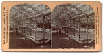 Sutro's Baths, San Francisco, Cal. # 5408.