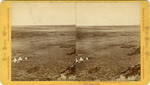 Panorama of lava beds from Signal Station at Tule Lake, Camp South, 1606