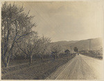 Mountain view on Saratoga Avenue. On the road to the California Redwood Park