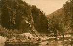 Matilija Springs, Ventura Co. Cal., 744