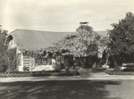 [Wisteria at the J.W. Baer residence]