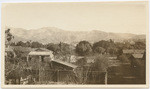 [Santa Barbara rooftop view of houses and backyards]