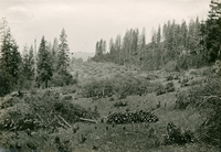 [Feather River Canyon] (2 views)