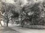 Eaton place, Montecito Drive