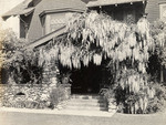 Wisteria covered porch