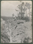 Piet Lohr. Yellowstone Cañon