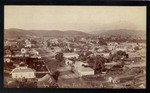 Looking north from Fort Hill, L.A. # 361