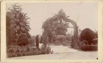 A view in Mrs. Hollenbeck's Grounds; Los Angeles, Cal. # 1951