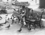 [Elderly man on bench with pigeons]