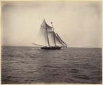 [Sailboat]