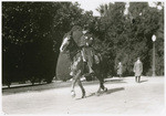 [Mounted policeman, Sacramento]