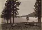 [Bear Valley Reservoir, Guilner's Point], no. 103