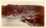 Avalon, Catalina. Feb. 1893. # 955