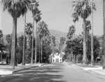 [Brand Library, the Brand House, "El Miradero"]