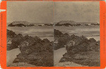 Seal Rock Monterey, no. 7 1/2