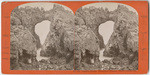 Natural Bridge, Farrallone Islands, Pacific Ocean, Cal., No. 252