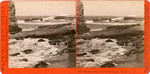 Monument Point, near Natural Bridge. Santa Cruz, Cal., 5056