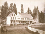 [Mammoth Grove Hotel, Calaveras Big Trees Grove], no. 989