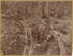 [Train accident, Tehama County]