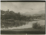 [Estuary in Santa Barbara below Child's estate]