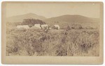 [Camping scene, vicinity Cuyamaca Mountains, ca. 1890]