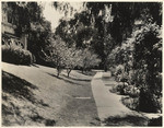 [Vista del Arroyo Hotel, Pasadena, #35282]