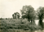 Irrigating canal, Miller and Lux Ranch, near Bakersfield, California, 22084
