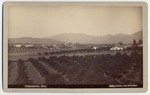 Looking North from Raymond Hotel Showing Residence of Prof. Lowe. # 267.