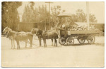 8000 lbs. of melons from Blodgett Ranch, Reedley, Cal. - 443