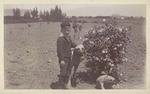 [Boy and dogs posed next to rose bush]