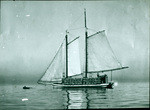 [Scow schooner loaded with hay, San Francisco Bay]