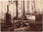 [Logging scene in Humboldt County]