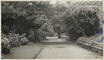 Hayes St. Entrance - G.G. Park