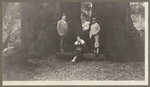 [Alfred Fuhrman posing with man and woman in front of trees in Muir Woods]